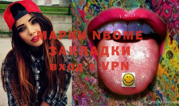 прущие грибы Чегем